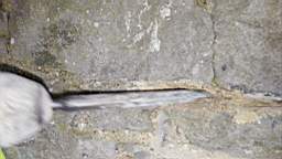 acastle
                          104865.jpg